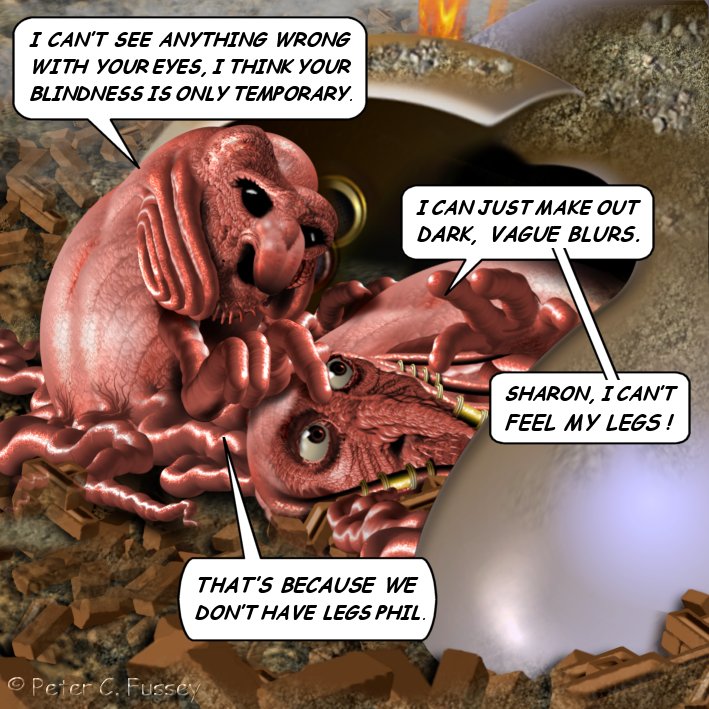 491.jpg