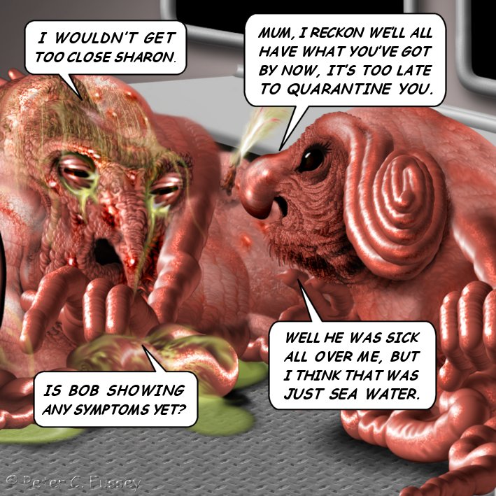 553.jpg