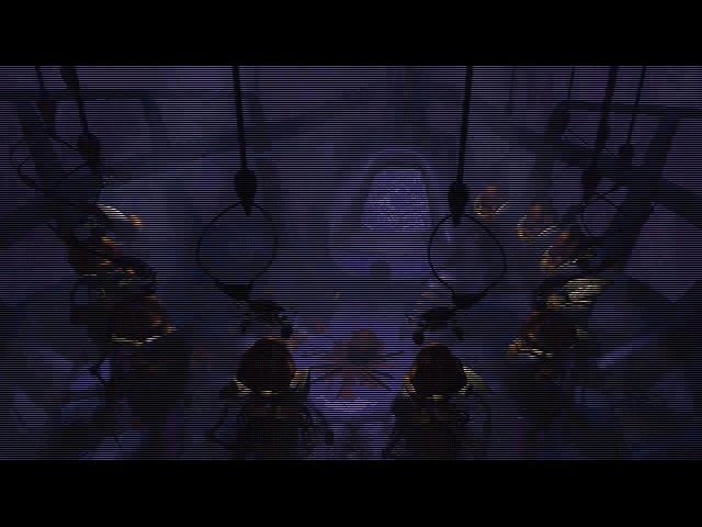 elders.JPG