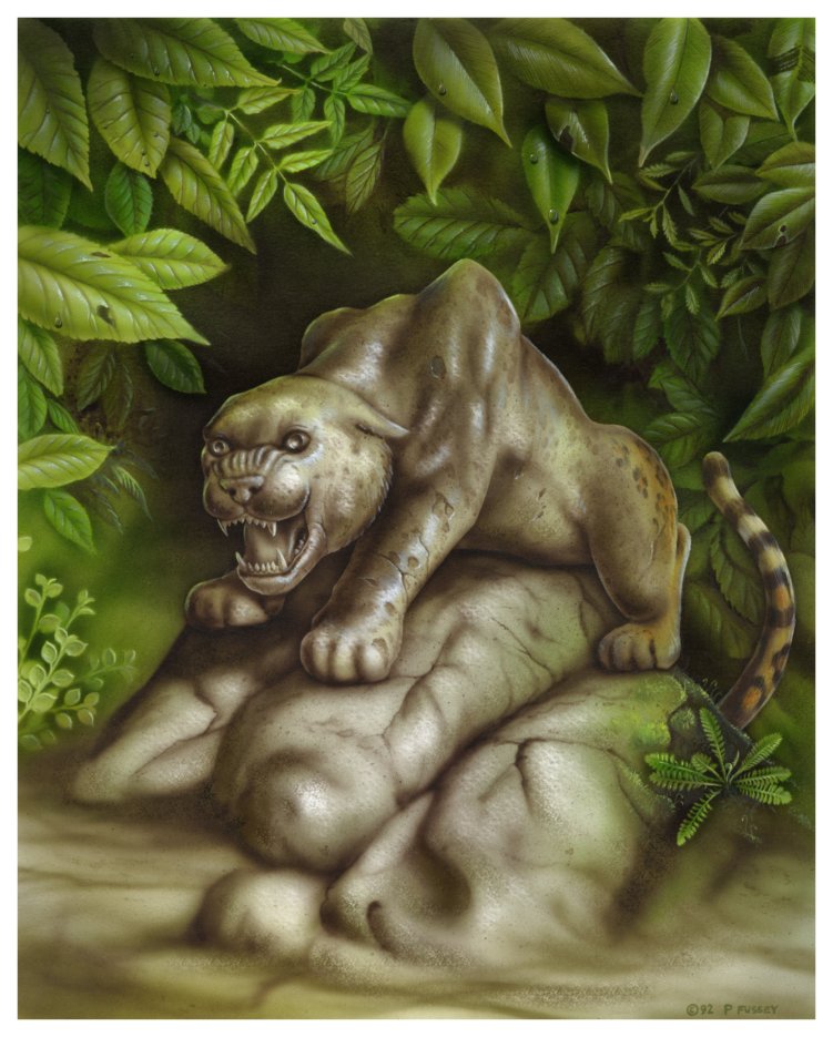 STONE LEOPARD.jpg