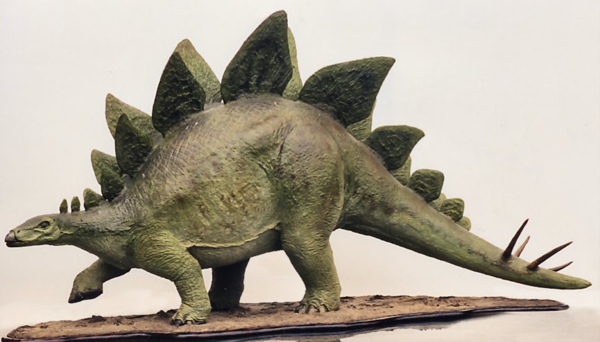 Stegosaurus.jpg