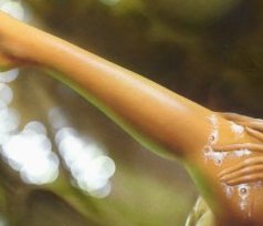 FAIRY BATH cutout.jpg