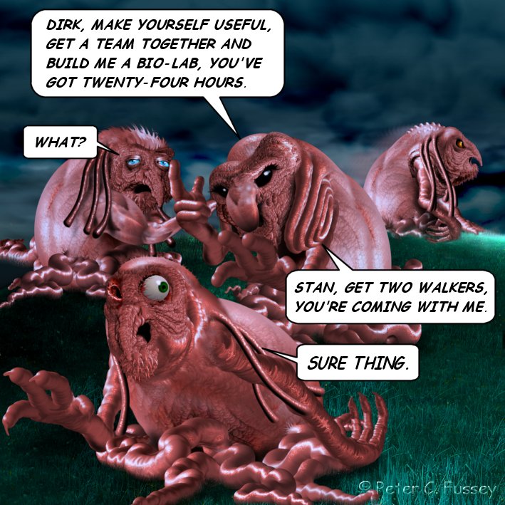 336.jpg